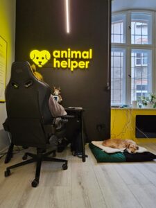 centrala-Animal-Helper-4