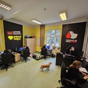 centrala-Animal-Helper-5