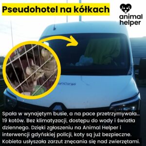 przykłady zgłoszeń (14)