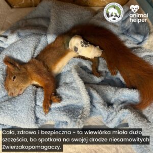 przykłady zgłoszeń (6)