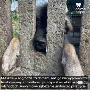 przykłady zgłoszeń (7)