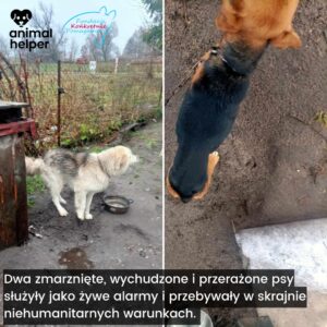 przykłady zgłoszeń (9)